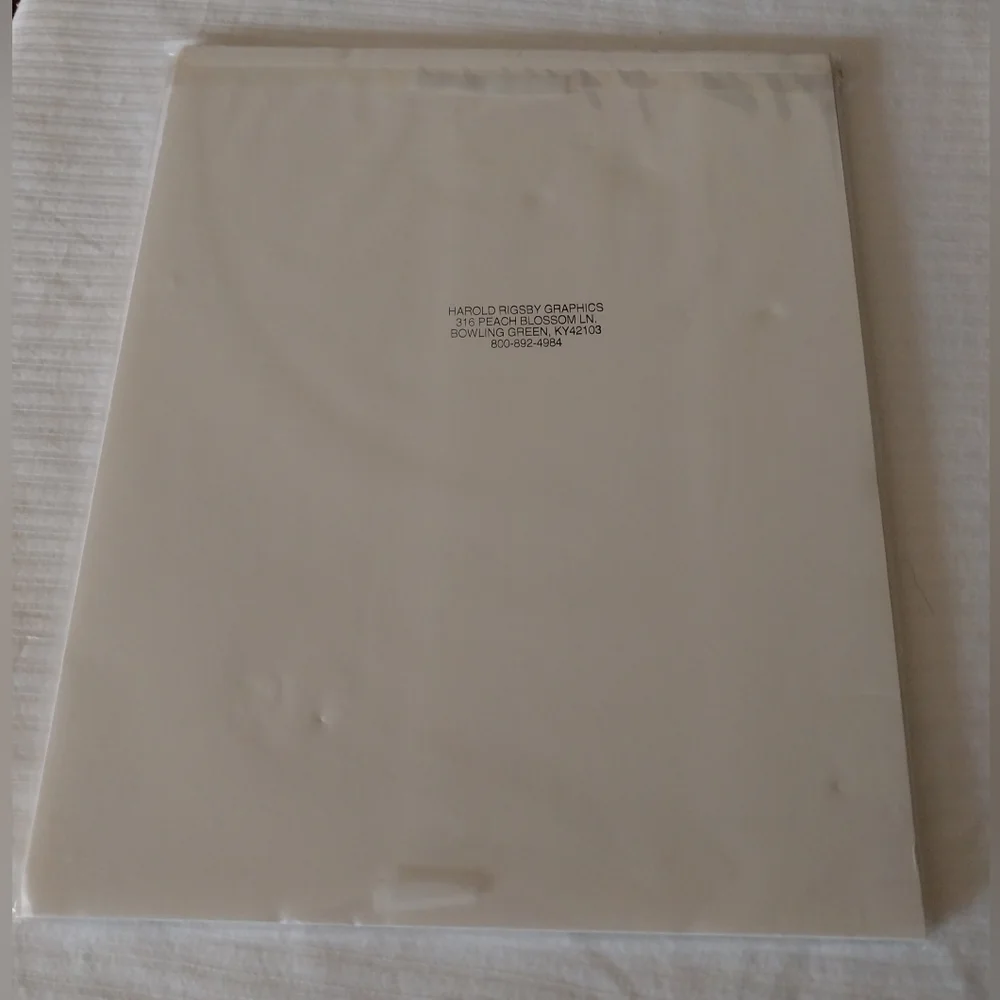 Bald Eagle print - Picture 13 of 15